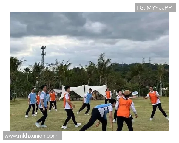 飞盘热潮下的杭州飞盘队意识转变与团队精神重塑探讨MBA 飞盘热潮下的杭州飞盘队意识转变与团队精神重塑探讨MBA