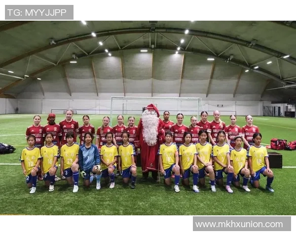 2017年奥地利与芬兰足球友谊赛精彩回顾与分析